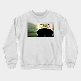 Vision Crewneck Sweatshirt